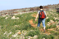 Trail goes through green, then burnt spots. Greece suffered a huge number of wild fires last summer.