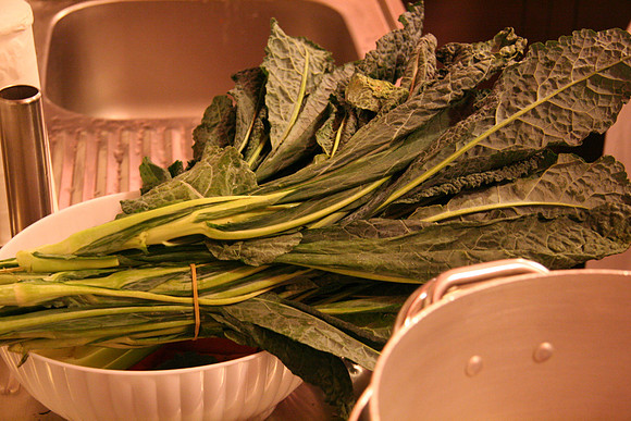 Cavolo nero