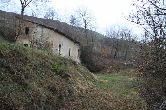 This was a road at one time leading up to the house, but now is overgrown