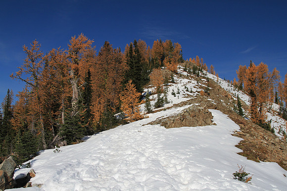 The last little bit (really) to the peak.