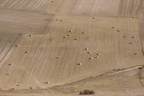 Rolled Hay in the Valley