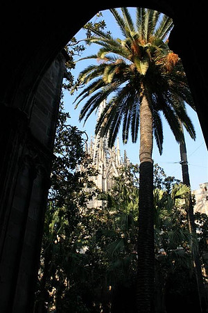 Barcelona's Main Cathedral