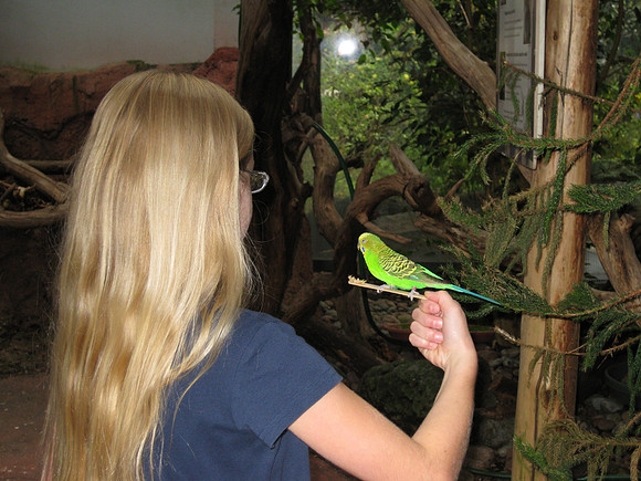 Bird feeding