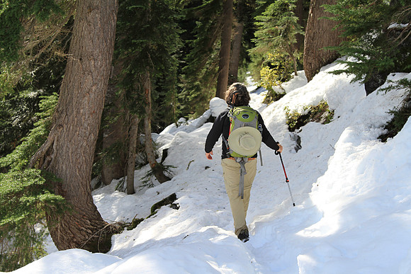 Snowy, but relatively easy trail to follow.