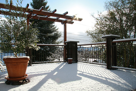 Snow in February!