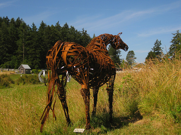 Horse of course.