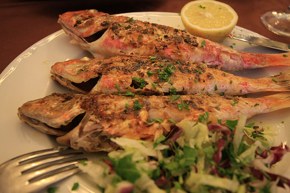 Type of fish is called Triglie