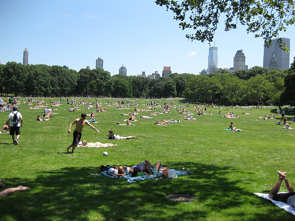 The "sheep" meadow in Central Park.