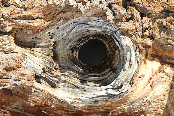 Wood knot.