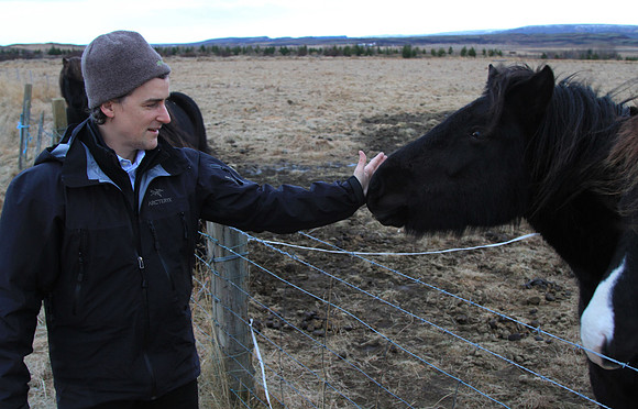 Icelandic Horse - yeah, you want to chomp on my fingers don't you?