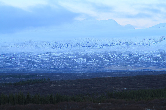 Morning has not broken yet on this approach to the park area.