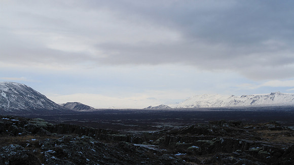 Desolate view across the heath.
