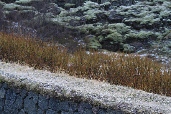 Sod is layed as a top layer on walls.  Other layers in this picture: willow (orange brown) and then fringe moss (green).