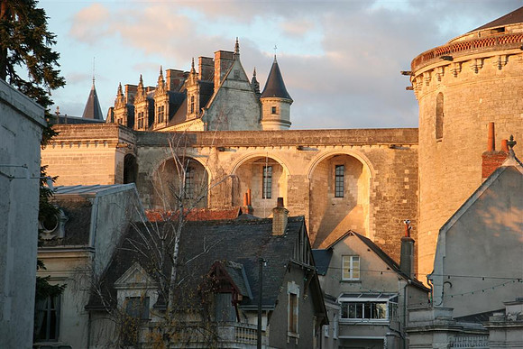Amboise  Chateau