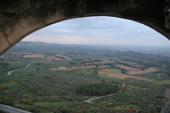 Les Baux, Olive Fields Looking South