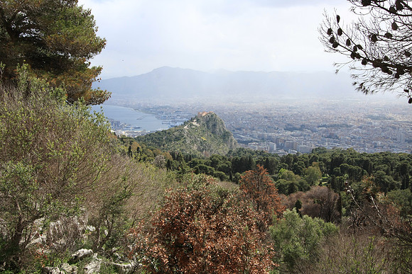 We hiked from the center of the city to this spot
