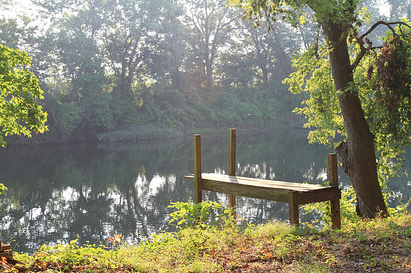 The river in the morning light.