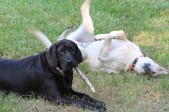 Drake and Bailey.