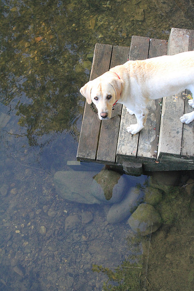 Bailey.