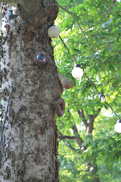 A face in the trees.