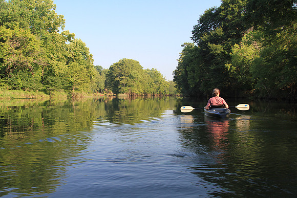Paddling upstream.