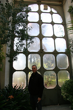 Inside the cold house - for cycads, citrus, palms