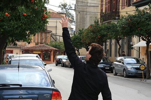 Oranges as street trees