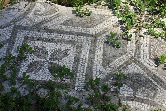 Mosaic detail