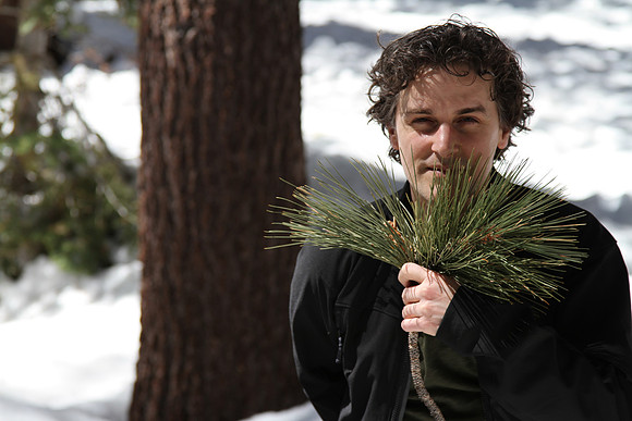 Pine top.