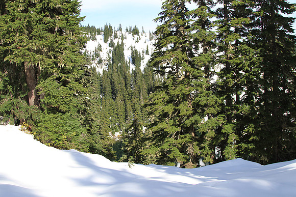 Most of our view around the lake: trees and snow.