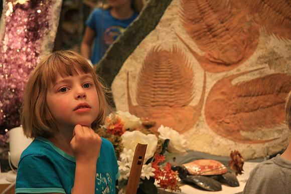 Amber in a Gem Store
