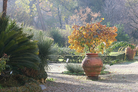 Outside the warm house