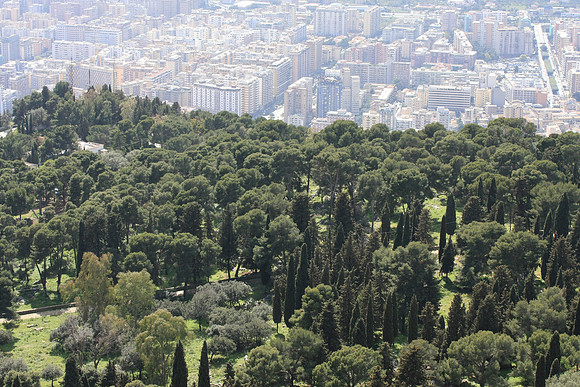 City right up to the protected Monte Pellegrino