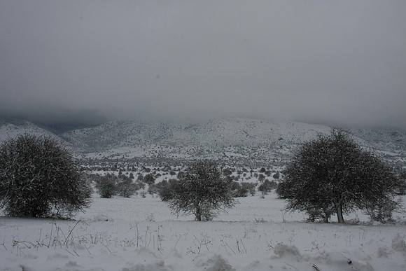 Pretty but maybe we should turn around?
