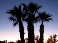 Imperial Valley