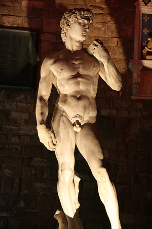 David in lights