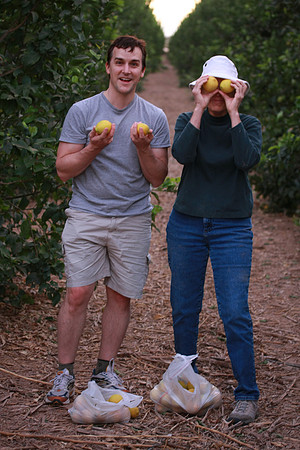 Citrus Thieves
