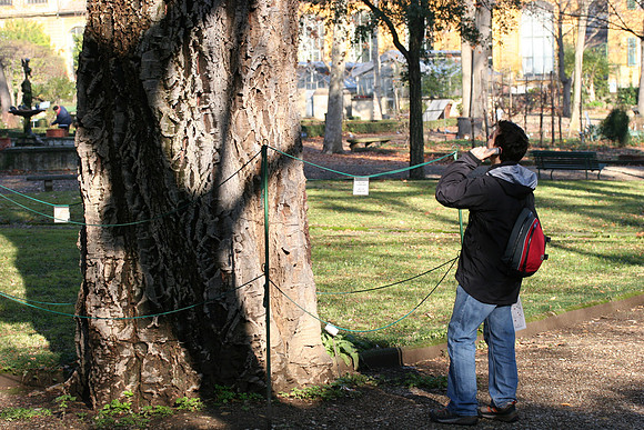 Near a cork oak planted in 1805