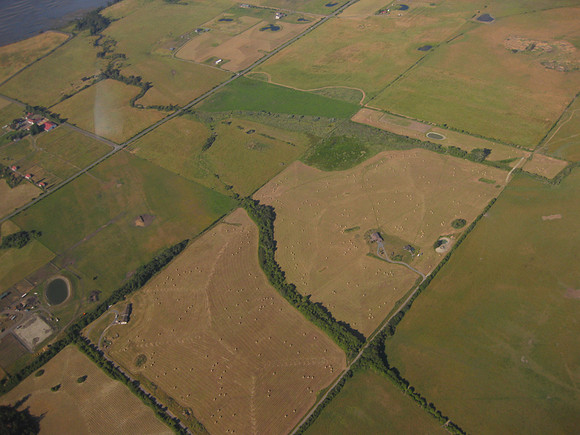 Fields on San Juan Island