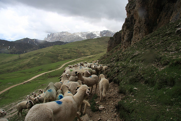 Ewww, a crowded trail.