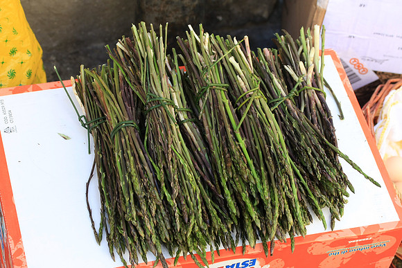 Wild asparagus
