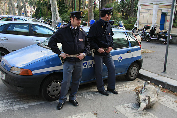 Arrest this dog