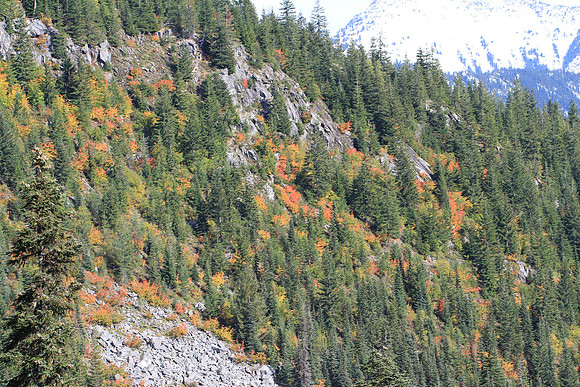 Fall colors in the hills.
