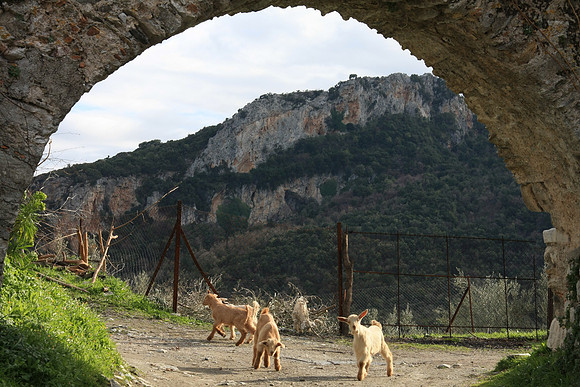 Kids cavorting under an old aqueduct.