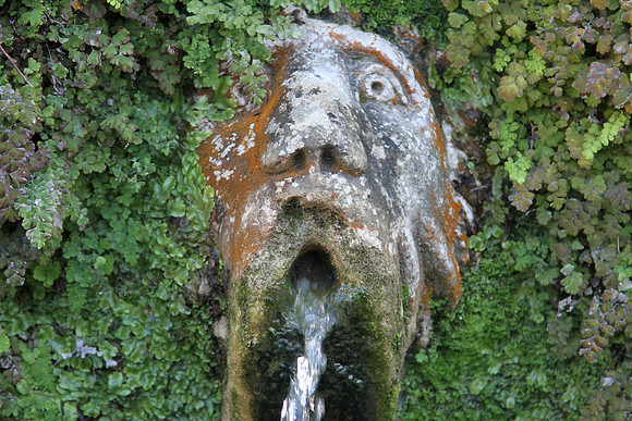 A mask in the Hundred Fountains.