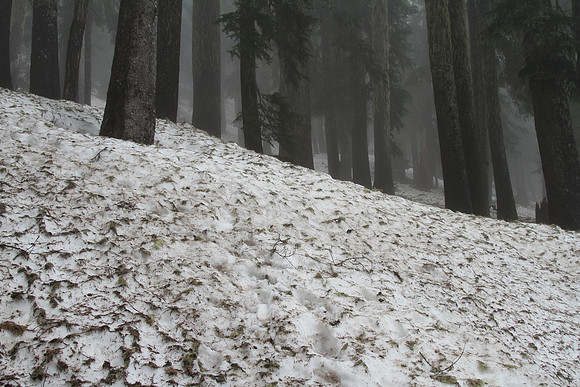 Yep, lots of snow. Where's the trail?