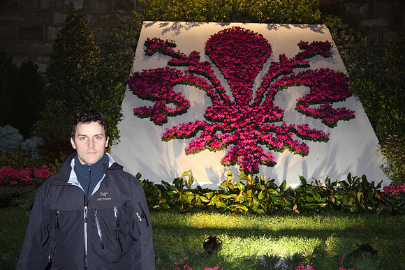 The Florence Symbol (an iris) done in pots of cyclamen