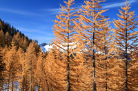 Central Cascades Carne Mt Hike Oct 2013