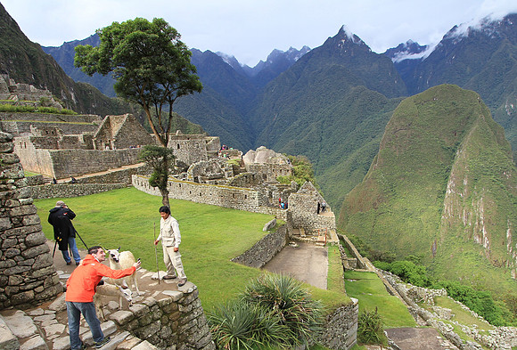 Someone getting a selfie with a lama.