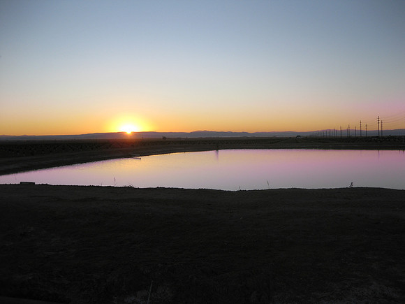 Holding Pond Near Citrus Groves